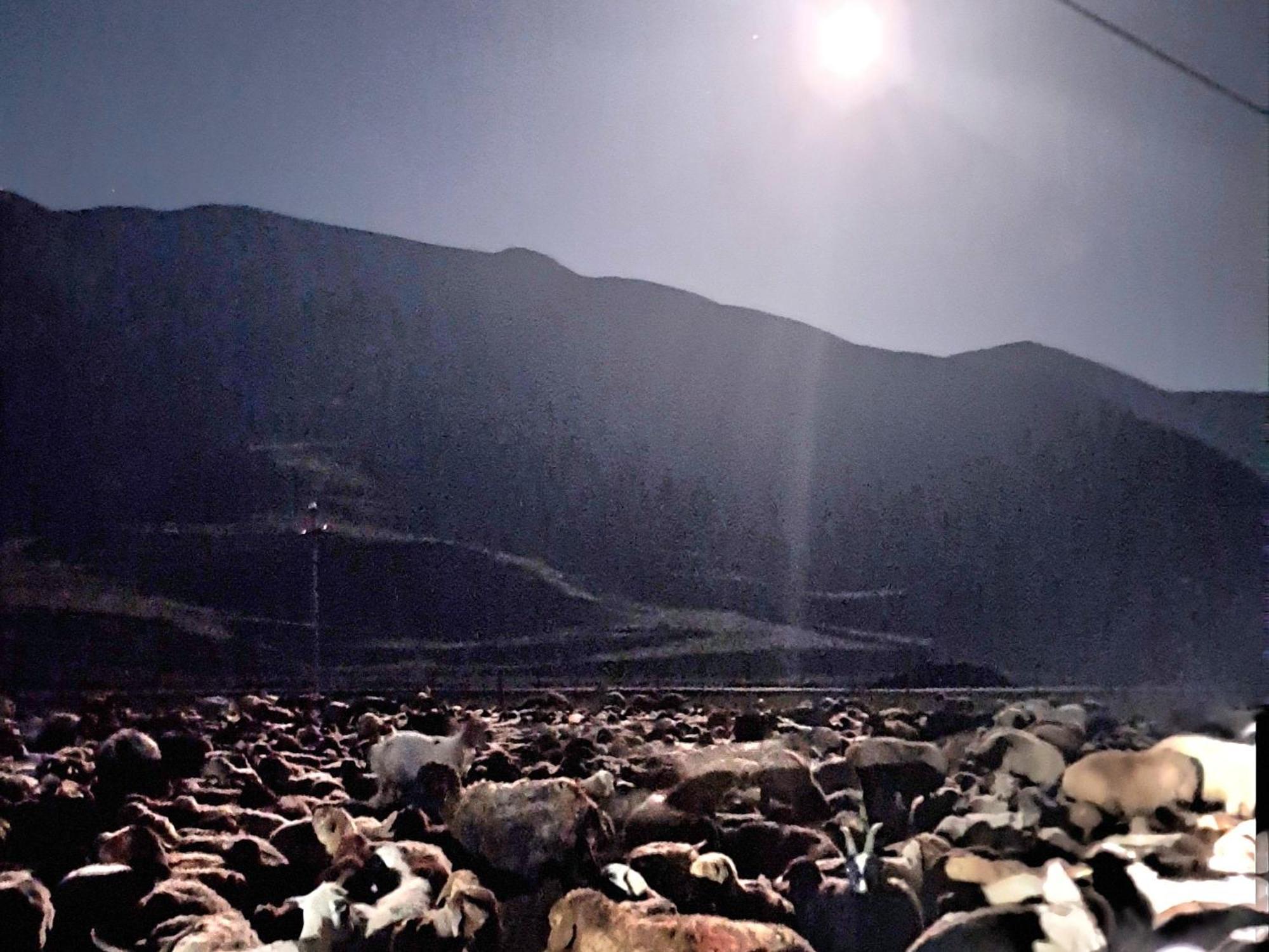 Xinaliq Khinalig Izzet'S Riverside Home Stay ภายนอก รูปภาพ